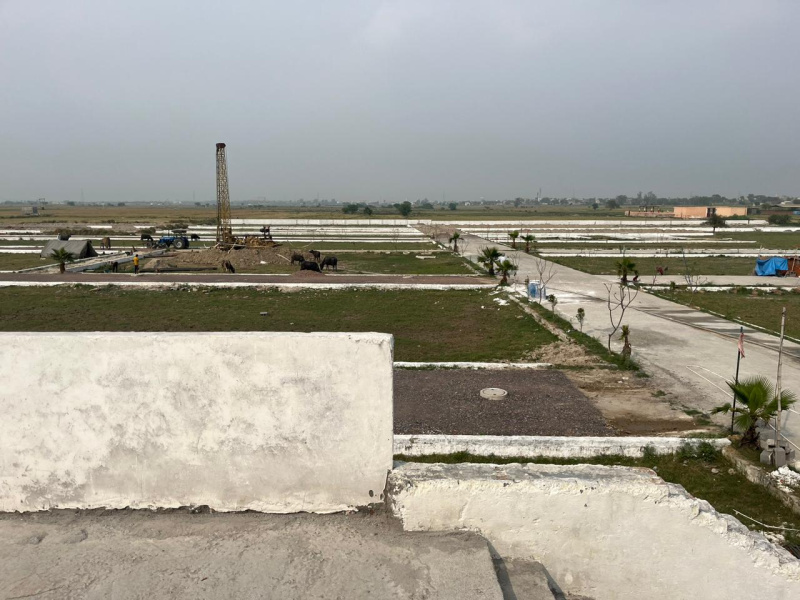 900 Sq.ft. Residential Plot for Sale in Tappal, Aligarh