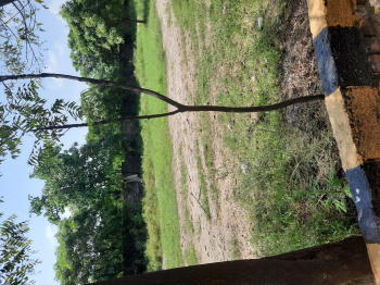 Property for sale in Yamuna Expressway, Aligarh