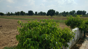 Property for sale in Jewar, Gautam Buddha Nagar