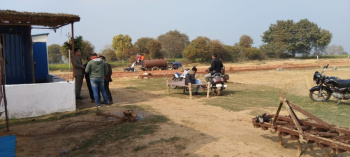 Property for sale in Khair, Aligarh
