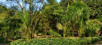 Property for sale in Behat, Saharanpur