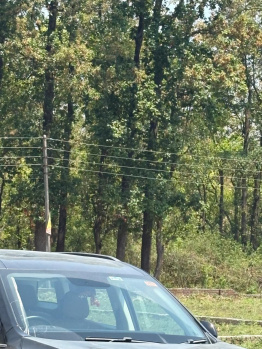 Property for sale in Kandoli, Dehradun