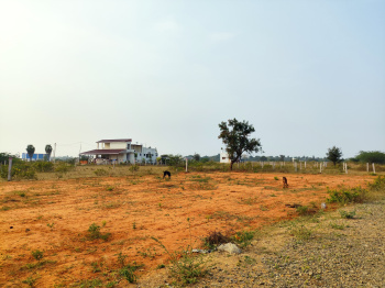Residential Plot for Sale in Olaiyur, Tiruchirappalli (2100 Sq.ft.)