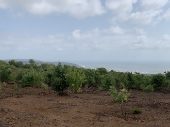 40000 Sq.ft. Agricultural/Farm Land for Sale in Harihareshwar, Raigad