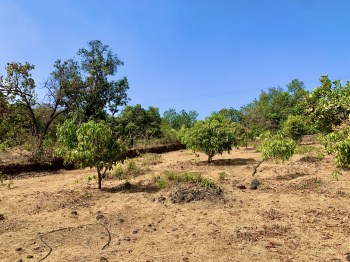 20000 Sq.ft. Agricultural/Farm Land for Sale in Roha, Raigad