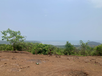 26 Ares Agricultural/Farm Land for Sale in Harihareshwar, Raigad