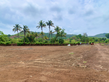 5000 Sq.ft. Residential Plot for Sale in Borli, Raigad