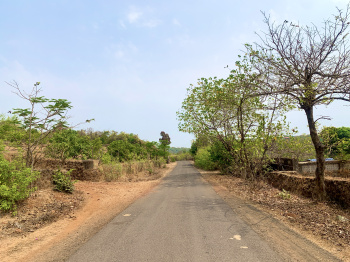 1 Ares Agricultural/Farm Land for Sale in Murud, Raigad