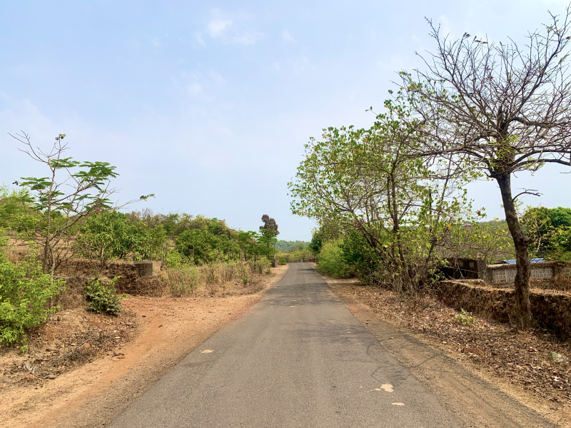 1 Ares Agricultural/Farm Land For Sale In Murud, Raigad