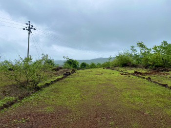 20000 Sq.ft. Agricultural/Farm Land for Sale in Roha, Raigad