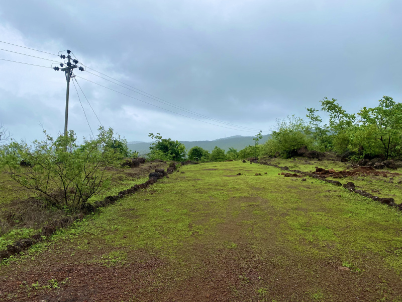 20000 Sq.ft. Agricultural/Farm Land For Sale In Roha, Raigad