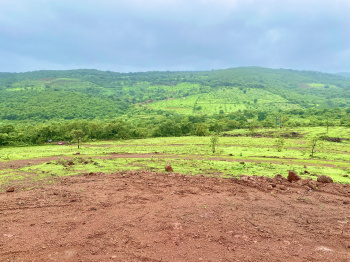 20000 Sq.ft. Residential Plot for Sale in Roha, Raigad