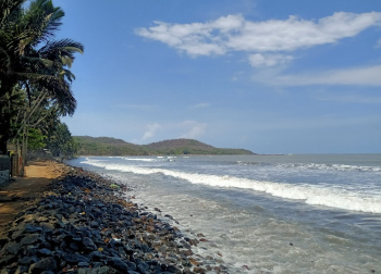 5000 Sq.ft. Residential Plot for Sale in Murud, Raigad