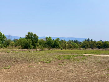 Property for sale in Alibag, Raigad