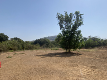 Property for sale in Borli, Raigad