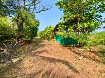 Residential Plot for Sale in Roha, Raigad (20000 Sq.ft.)