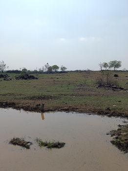 2.5 Acre Agricultural/Farm Land for Sale in Mohpa, Nagpur