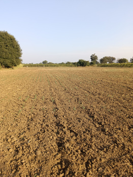 Property for sale in Pardi, Nagpur