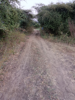 Property for sale in Walani, Nagpur