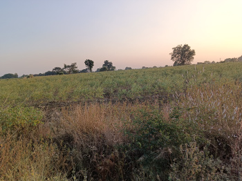 Property for sale in Walani, Nagpur