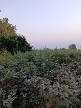 Property for sale in Kalameshwar, Nagpur