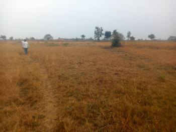 Property for sale in Malegaon, Nagpur