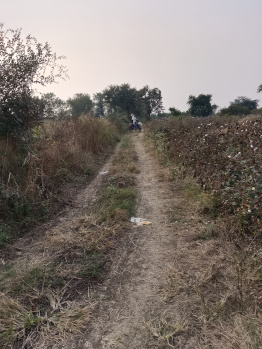 2 Acre Agricultural/Farm Land for Sale in Kalameshwar, Nagpur