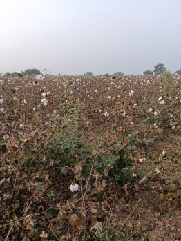 Property for sale in Kalameshwar, Nagpur