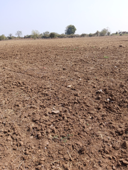 5 Acre Agricultural/Farm Land for Sale in Wardha Road, Nagpur