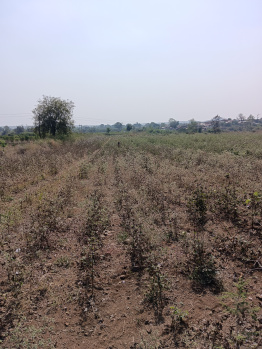 Property for sale in Katol, Nagpur
