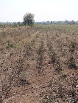 Property for sale in Katol, Nagpur