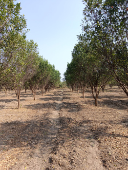 Property for sale in Katol, Nagpur