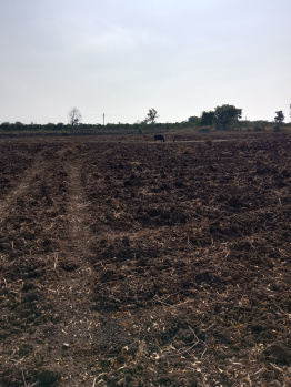 3 Acre Agricultural/Farm Land for Sale in Katol, Nagpur