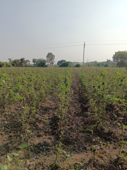 Property for sale in Katol, Nagpur