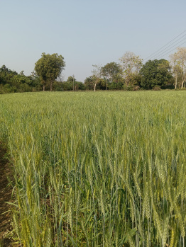 Property for sale in Wardha Road, Nagpur