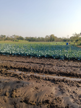 Property for sale in Kalameshwar, Nagpur