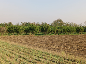 Property for sale in Kalameshwar, Nagpur