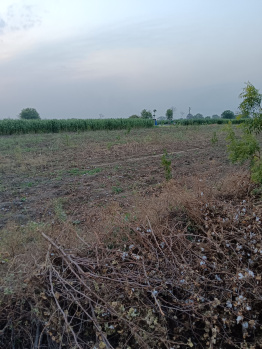 Property for sale in Kalameshwar, Nagpur