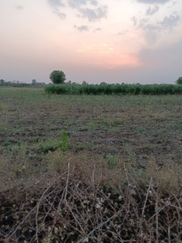 Property for sale in Kalameshwar, Nagpur