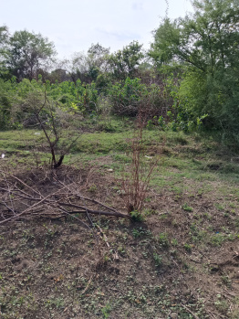 .18 Acre Agricultural/Farm Land for Sale in Kalameshwar, Nagpur