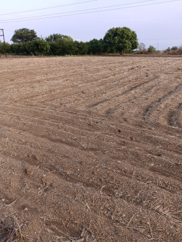Agricultural/Farm Land for Sale in Khapri, Nagpur (2 Acre)