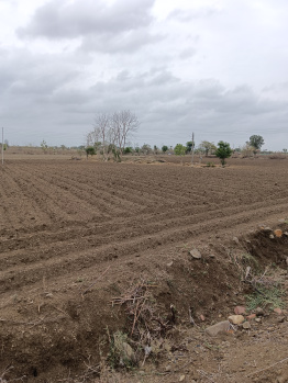 3 Acre Agricultural/Farm Land for Sale in Umred, Nagpur