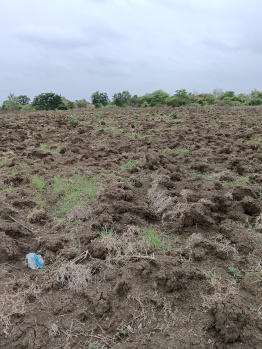 5 Acre Agricultural/Farm Land for Sale in Kalameshwar, Nagpur