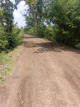 Agricultural/Farm Land for Sale in Dhamna, Nagpur (4 Acre)