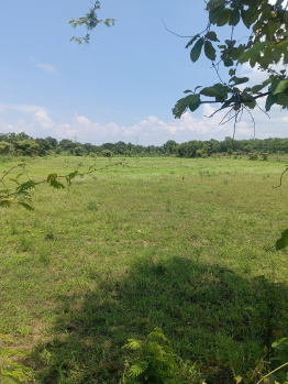 Property for sale in Dhamna, Nagpur