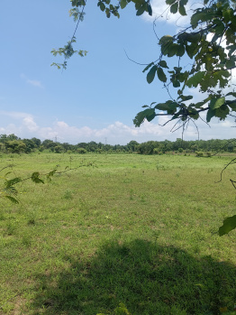 Property for sale in Dhamna, Nagpur