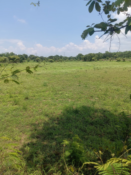 Property for sale in Dhamna, Nagpur