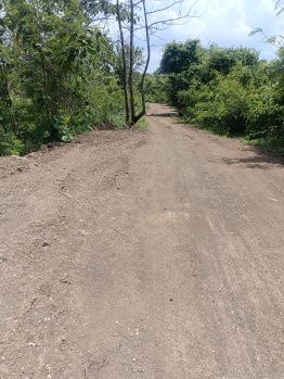 8 Acre Agricultural/Farm Land for Sale in Wadi, Nagpur
