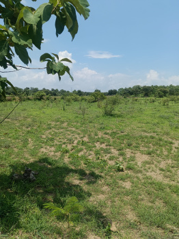 Property for sale in Wadi, Nagpur