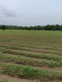 Agricultural/Farm Land for Sale in Kondhali, Nagpur (22 Acre)